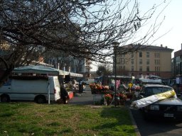 Via Pini il mercato del giovedi
